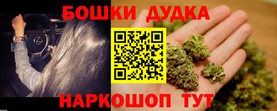 тгк Бийск