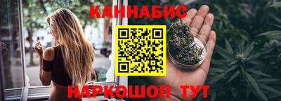 тгк Бийск
