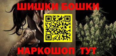 тгк Бийск