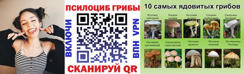 Псилоцибиновые грибы Psilocybe  Джанкой 