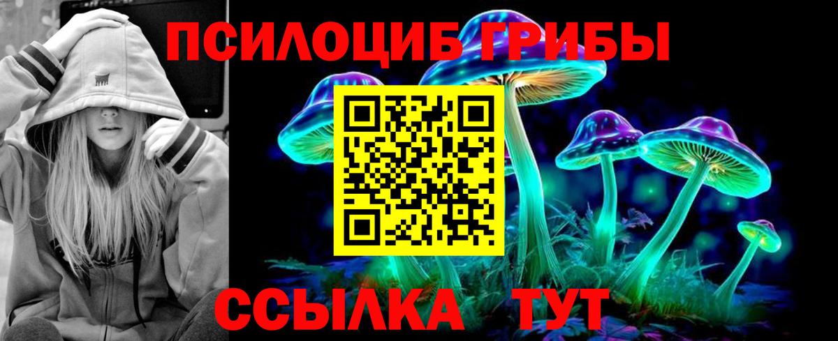Джанкой  Псилоцибиновые грибы GOLDEN TEACHER  Вход с VPN 
